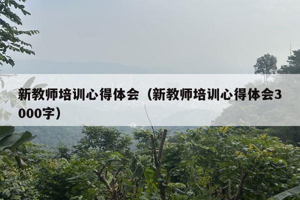 新教师培训心得体会（新教师培训心得体会3000字）