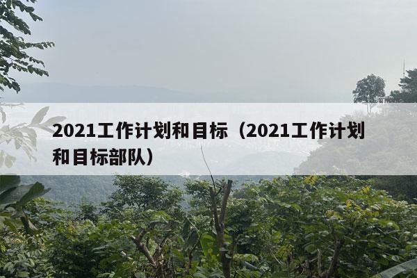 2021工作计划和目标（2021工作计划和目标部队）