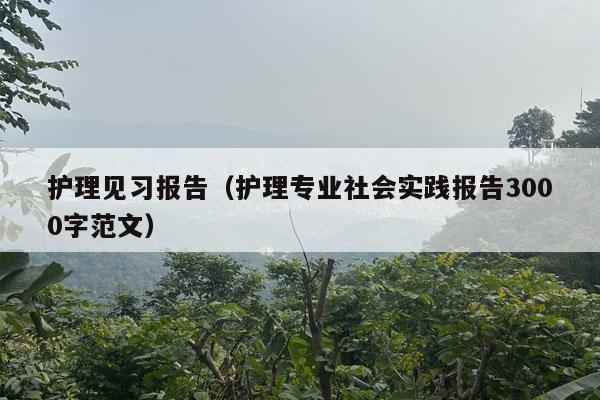 护理见习报告（护理专业社会实践报告3000字范文）