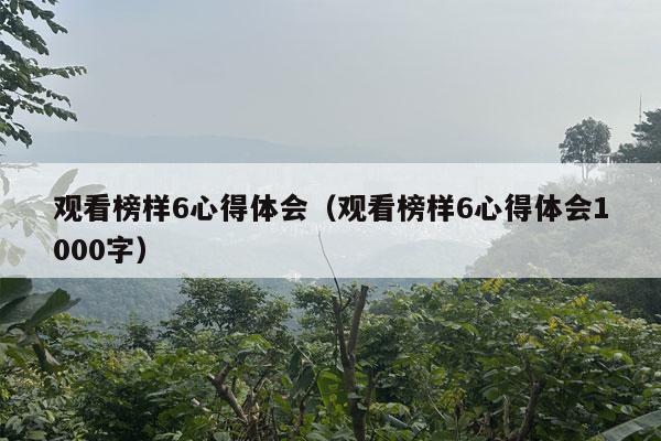 观看榜样6心得体会（观看榜样6心得体会1000字）