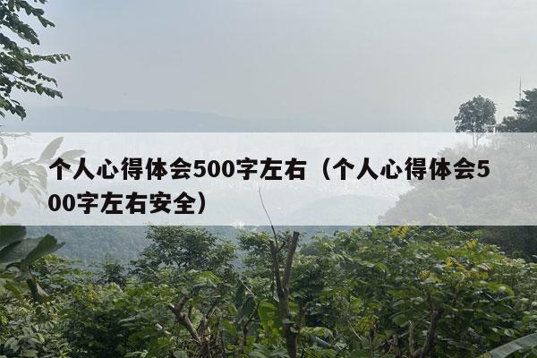 个人心得体会500字左右（个人心得体会500字左右安全）