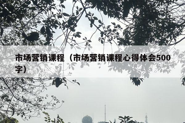 市场营销课程（市场营销课程心得体会500字）