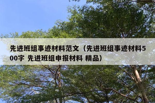 先进班组事迹材料范文（先进班组事迹材料500字 先进班组申报材料 精品）