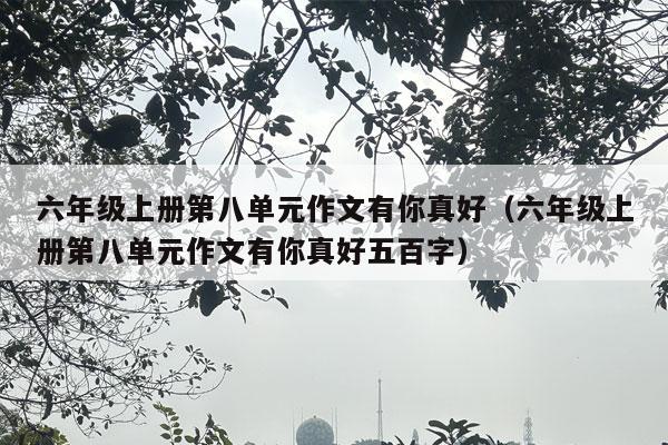 六年级上册第八单元作文有你真好（六年级上册第八单元作文有你真好五百字）