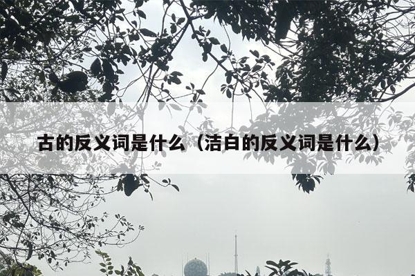 古的反义词是什么（洁白的反义词是什么）