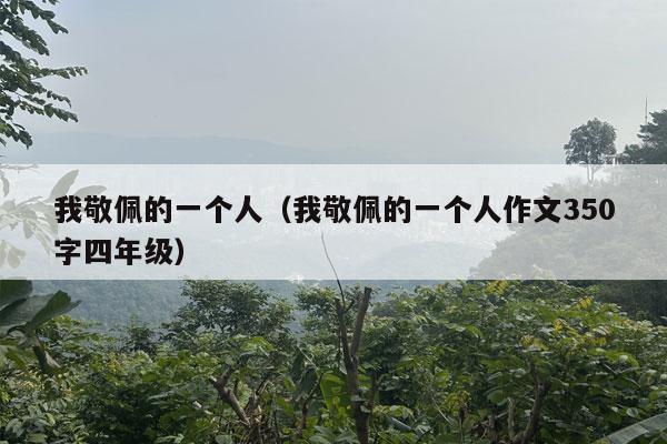 我敬佩的一个人（我敬佩的一个人作文350字四年级）