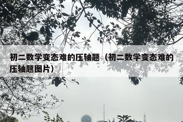 初二数学变态难的压轴题（初二数学变态难的压轴题图片）