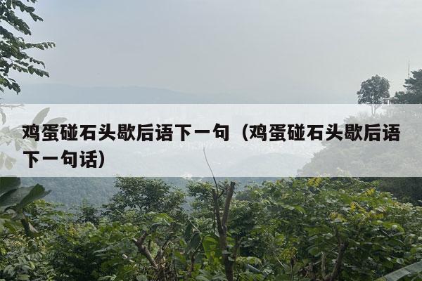 鸡蛋碰石头歇后语下一句（鸡蛋碰石头歇后语下一句话）