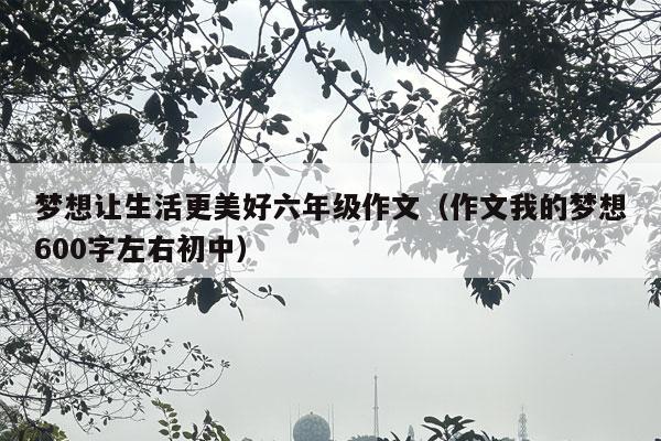 梦想让生活更美好六年级作文（作文我的梦想600字左右初中）