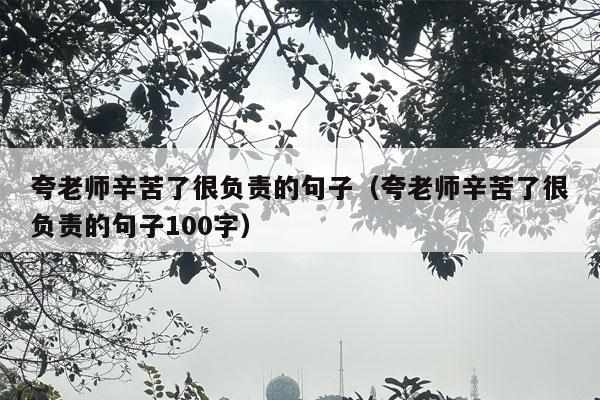 夸老师辛苦了很负责的句子（夸老师辛苦了很负责的句子100字）