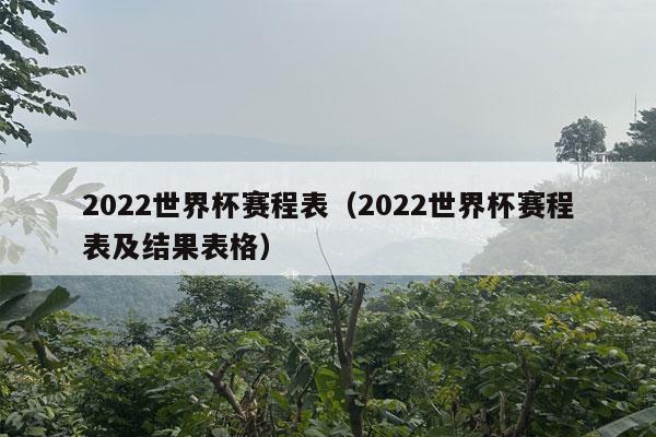 2022世界杯赛程表（2022世界杯赛程表及结果表格）