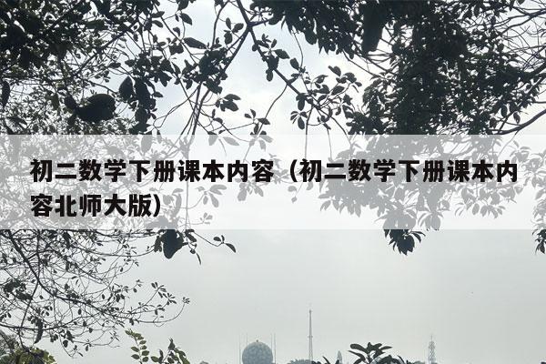 初二数学下册课本内容（初二数学下册课本内容北师大版）