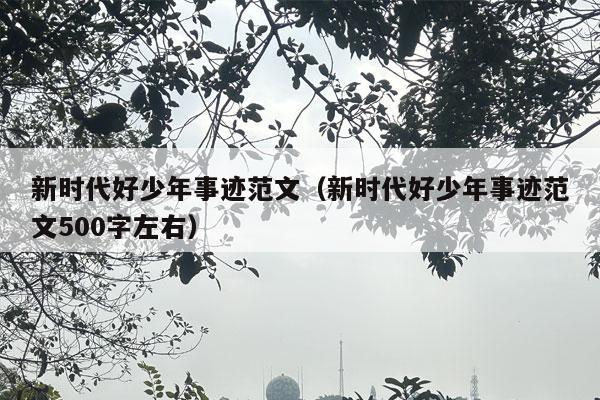 新时代好少年事迹范文（新时代好少年事迹范文500字左右）