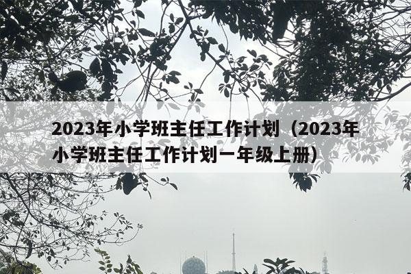 2023年小学班主任工作计划（2023年小学班主任工作计划一年级上册）