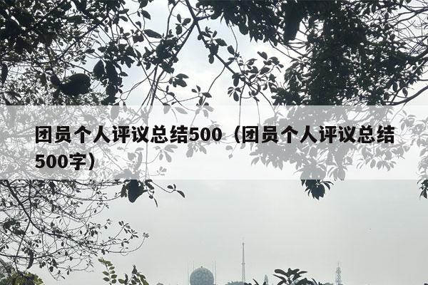 团员个人评议总结500（团员个人评议总结500字）