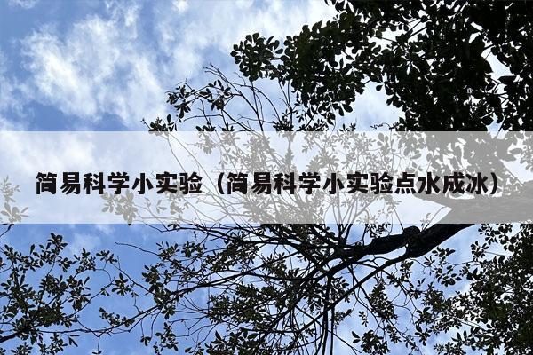 简易科学小实验（简易科学小实验点水成冰）