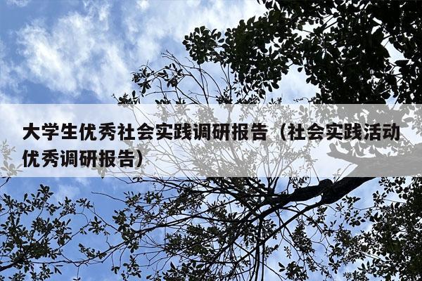 大学生优秀社会实践调研报告（社会实践活动优秀调研报告）