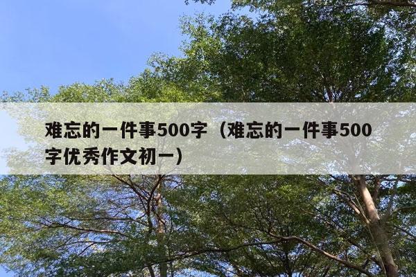 难忘的一件事500字（难忘的一件事500字优秀作文初一）