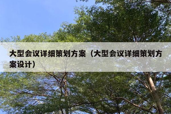 大型会议详细策划方案（大型会议详细策划方案设计）