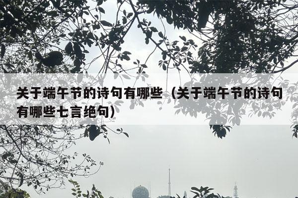 关于端午节的诗句有哪些（关于端午节的诗句有哪些七言绝句）