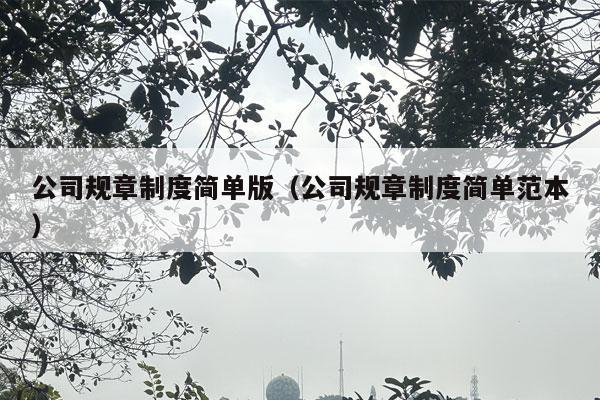 公司规章制度简单版（公司规章制度简单范本）