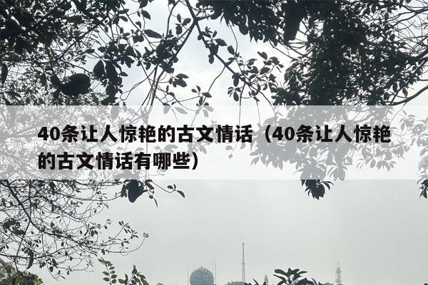 40条让人惊艳的古文情话（40条让人惊艳的古文情话有哪些）