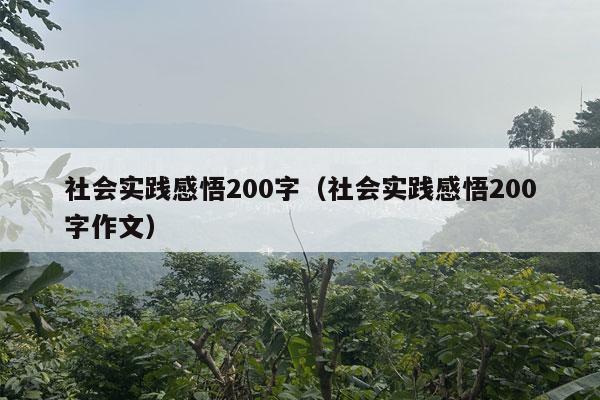 社会实践感悟200字（社会实践感悟200字作文）