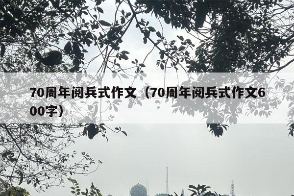 70周年阅兵式作文（70周年阅兵式作文600字）