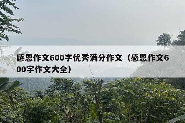 感恩作文600字优秀满分作文（感恩作文600字作文大全）