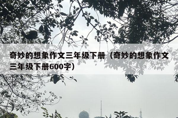 奇妙的想象作文三年级下册（奇妙的想象作文三年级下册600字）