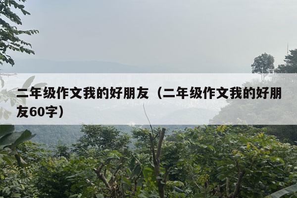 二年级作文我的好朋友（二年级作文我的好朋友60字）