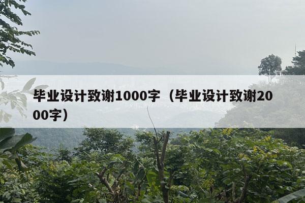 毕业设计致谢1000字（毕业设计致谢2000字）