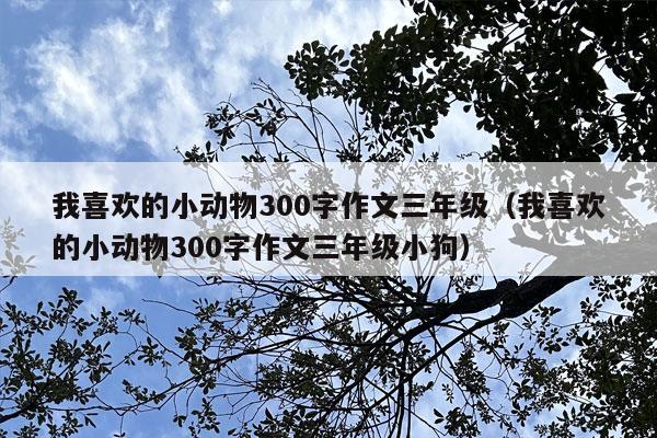 我喜欢的小动物300字作文三年级（我喜欢的小动物300字作文三年级小狗）