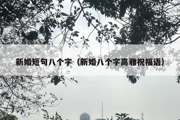 新婚短句八个字（新婚八个字高雅祝福语）