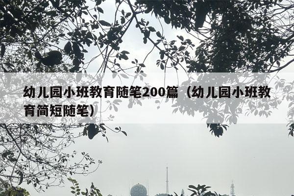 幼儿园小班教育随笔200篇（幼儿园小班教育简短随笔）