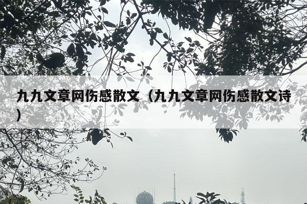 九九文章网伤感散文（九九文章网伤感散文诗）