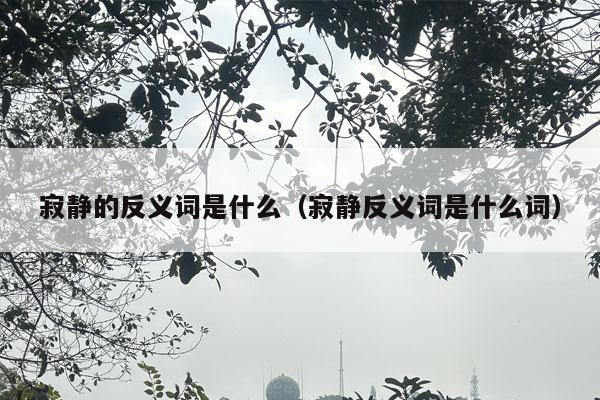 寂静的反义词是什么（寂静反义词是什么词）