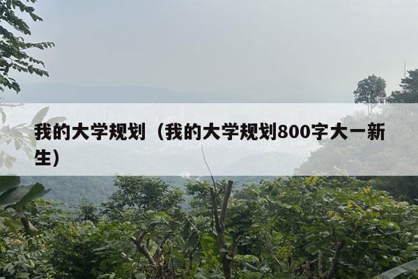 我的大学规划（我的大学规划800字大一新生）