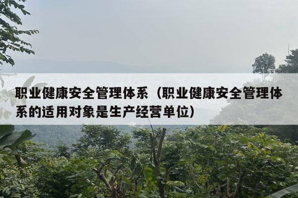 职业健康安全管理体系（职业健康安全管理体系的适用对象是生产经营单位）