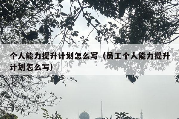 个人能力提升计划怎么写（员工个人能力提升计划怎么写）