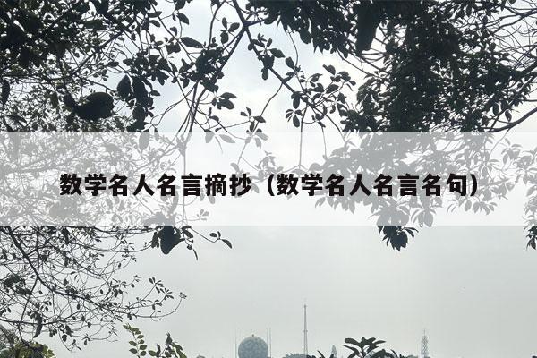 数学名人名言摘抄（数学名人名言名句）