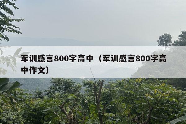 军训感言800字高中（军训感言800字高中作文）