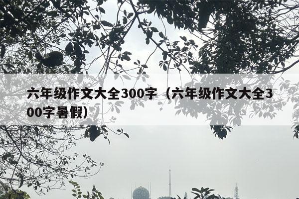 六年级作文大全300字（六年级作文大全300字暑假）