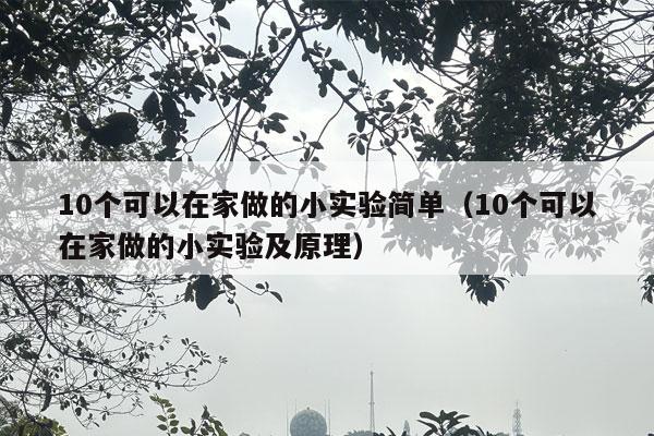 10个可以在家做的小实验简单（10个可以在家做的小实验及原理）