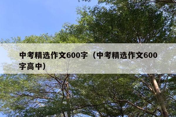 中考精选作文600字（中考精选作文600字高中）