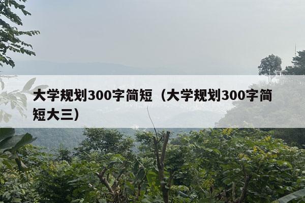 大学规划300字简短（大学规划300字简短大三）